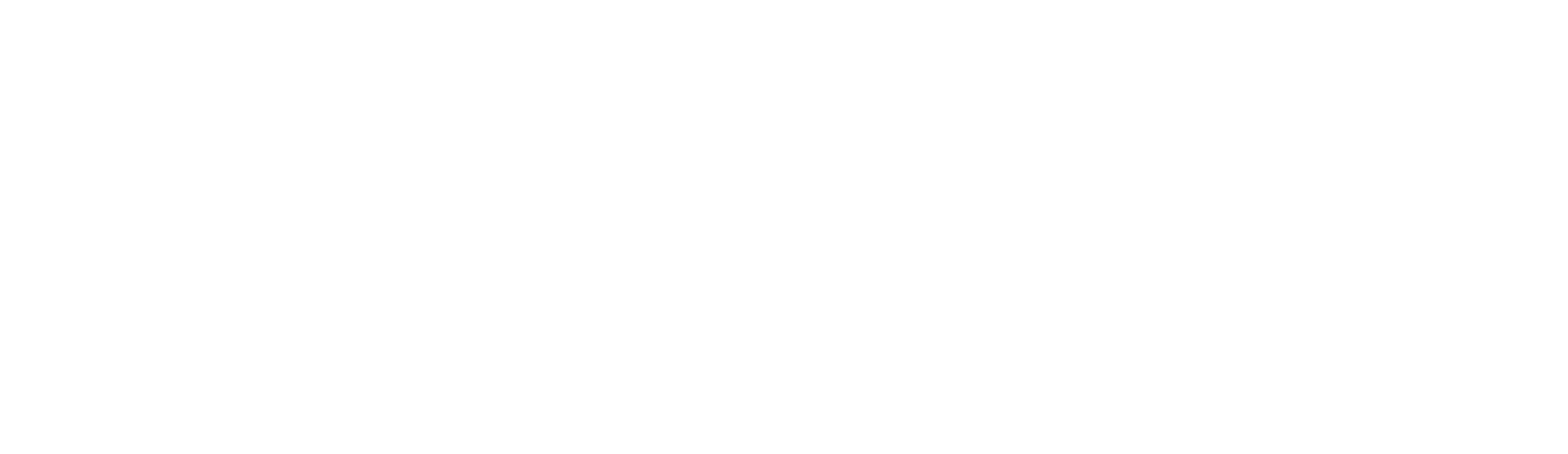 Diesse-Qubit-logo-ufficiale